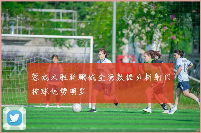 蓉城大胜新鹏城全场数据分析射门控球优势明显