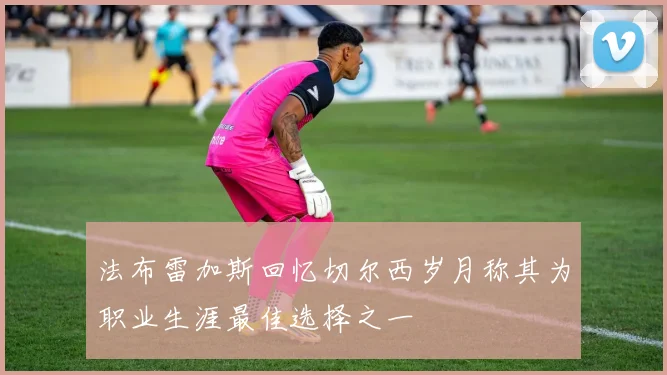 法布雷加斯回忆切尔西岁月称其为职业生涯最佳选择之一